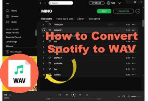 Spotify to WAV: Convert and Record Spotify to WAV