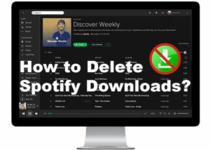 How to Delete Spotify Downloads? Solved by 3 Quick Ways!