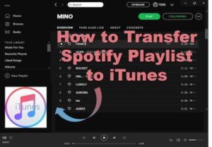 spotify to apple music playlist convert