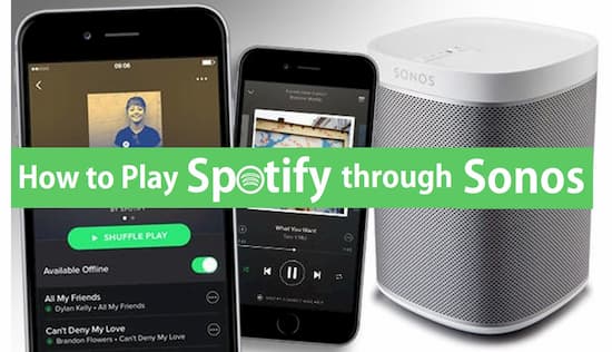 Koncession Overflødig ovn Play Spotify Through Sonos Speaker? Completely Solved!