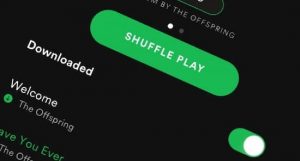 Answered: Where Does Spotify Store Downloaded Music