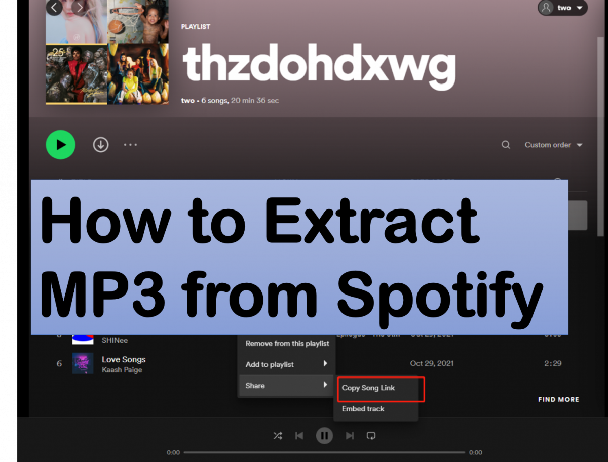 How To Extract MP3 From Spotify