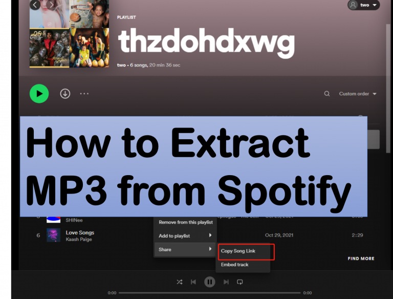 How to Extract MP3 from Spotify