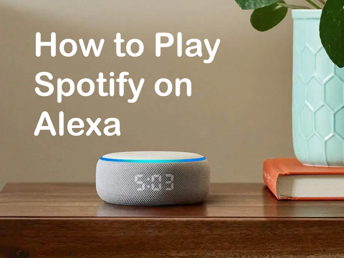 How to Play Spotify on Alexa - The Best Three Tips