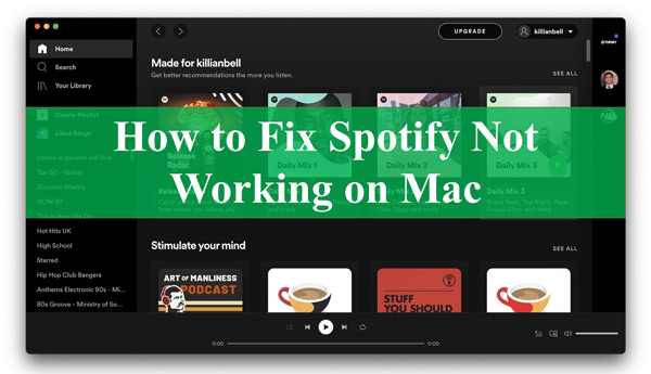 why cant i download spotify on my mac