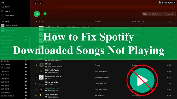 Spotify Downloaded Songs Not Playing 10 Solutions 