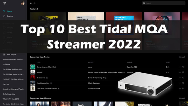 Top 10 Best MQA Streamer 2022